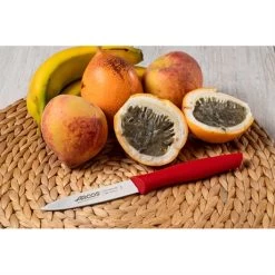 Set 3 Couteaux D'office Nova Coloris Rouge -Cuisine Soldes Magasin 411064 2 1 Set 3 couteaux d office Nova coloris rouge Arcos