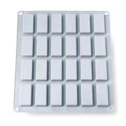 Grande Flexi'Plaque Silicone 24 Mini-financiers
