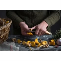 Set Brosse à Champignons Et Couteau à Champignons Pliant N°8 -Cuisine Soldes Magasin 609165 2 1 Set brosse a champignons et couteau a champignons pliant N 8