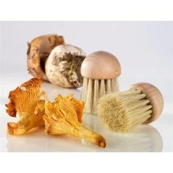 Set Brosse à Champignons Et Couteau à Champignons Pliant N°8 -Cuisine Soldes Magasin 609165 3 1 Set brosse a champignons et couteau a champignons pliant N 8